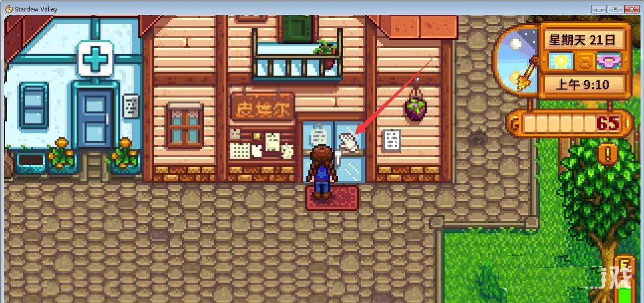 星露谷物语
