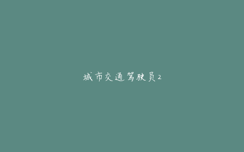 城市交通驾驶员2