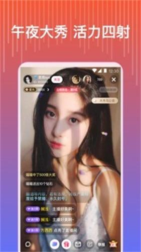 旧版本花蝶