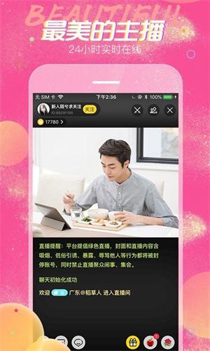 夜蝶直播老版