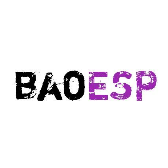 baoESP免卡密破解版