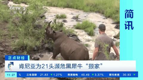 丫丫视频直播