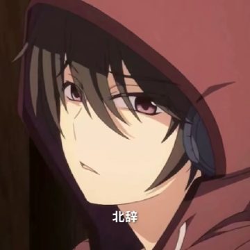 北辞弱网6.0内部版