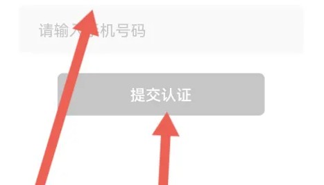 春雨直播
