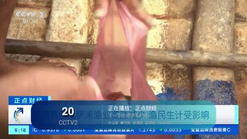 野花视频社区
