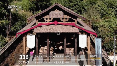 丫丫视频直播