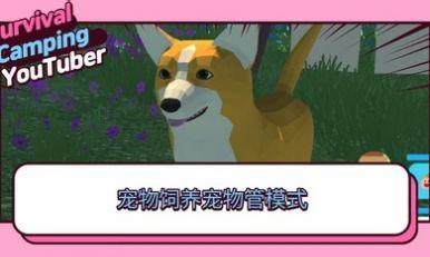 生存露营直播完整版