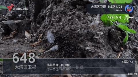 初爱直播免费版