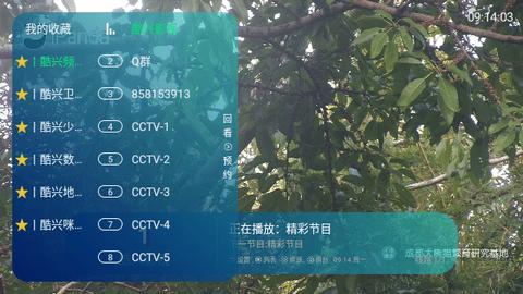 gblive直播