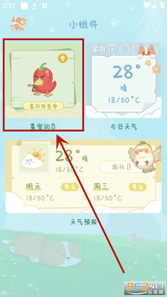 菜宠天气app