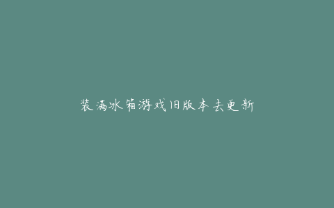 装满冰箱游戏旧版本去更新