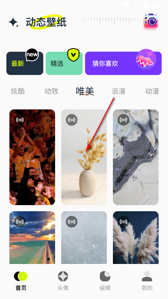 手机动态壁纸大全app