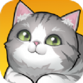 养了个猫不用实名版