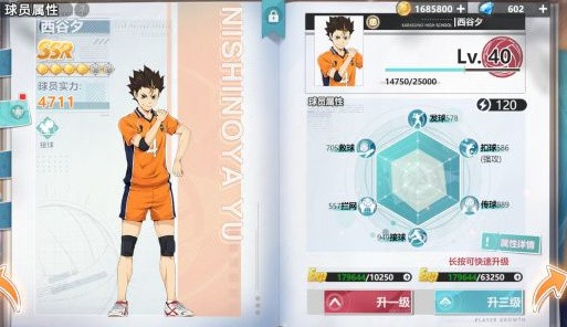 排球少年:新的征程正版