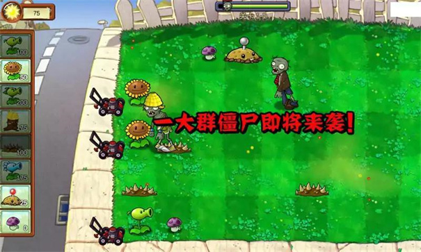 植物大战僵尸：重生