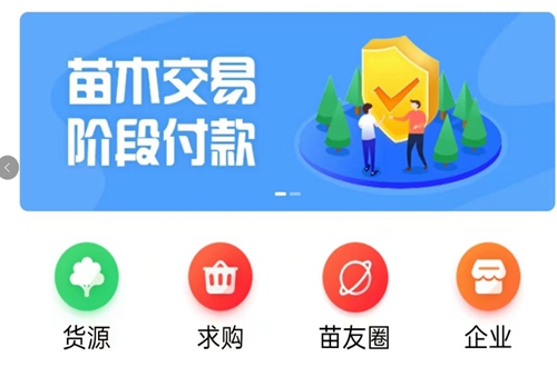 苗青青花木网价格查询
