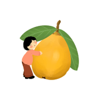 枇杷影视app 2.0.0 最新版
