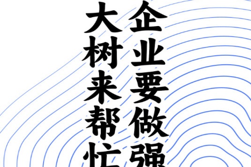 大树经营管理平台