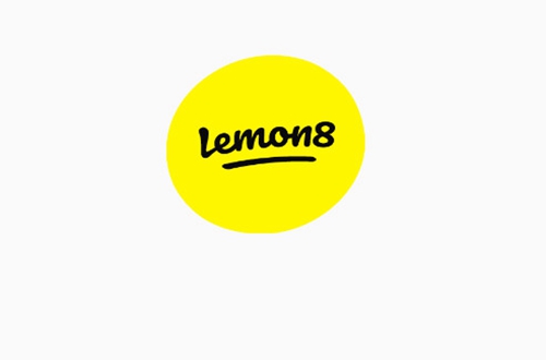Lemon8小黄书