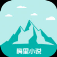 梅里小说
