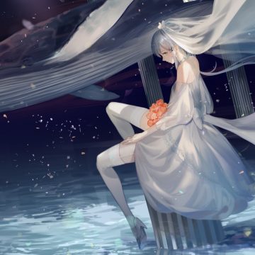 像素绅士安卓（像素绅士安卓下载安装）