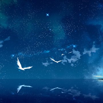 鲸鱼传媒在线入口（鲸鱼传媒红包群下载）