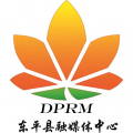 东平手机台app