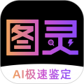 图灵鉴定ai鉴定