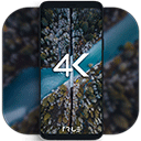 4k wallpapers汉化版动态壁纸app安卓版免费下载安装v3.2.3