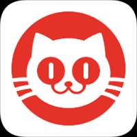 猫眼电影专业版下载
