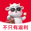 羊毛课代表