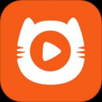 皮影猫