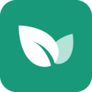 青藤之恋官方版下载