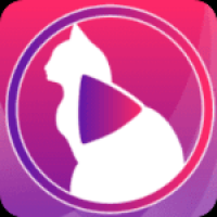 小猫直播官网版最新下载