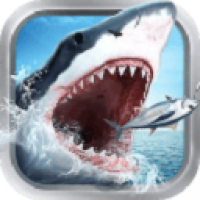 全民钓鱼游戏官网版