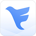 飞鸽互联2025年最新版本
