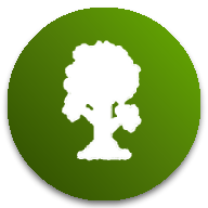 tmodloader模组整合包