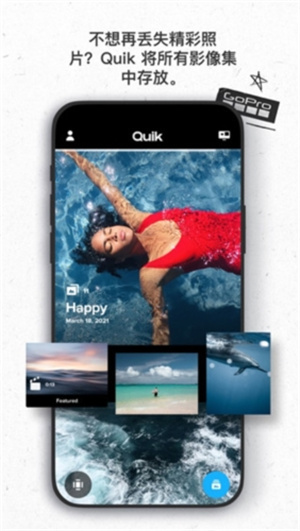 goproquik官方版