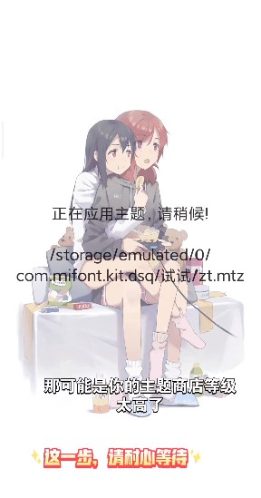 小米主题安装器pro官方版