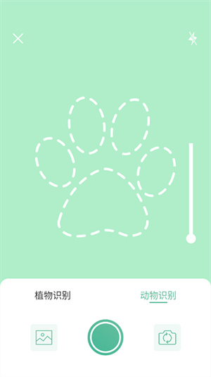 智能扫描王手机版