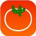 蕃茄酱免费短剧