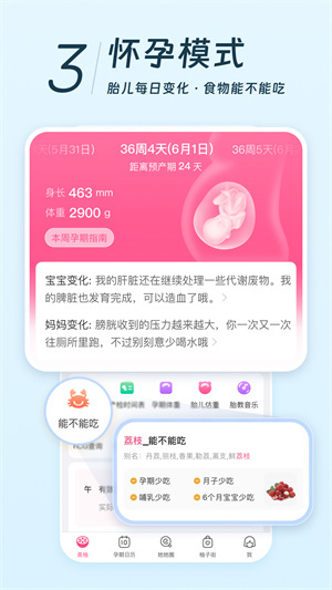 美柚孕期记录官方版