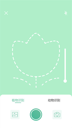 智能扫描王手机版