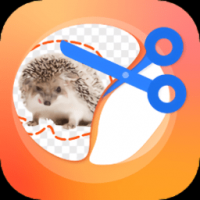 P图抠图王软件免费版