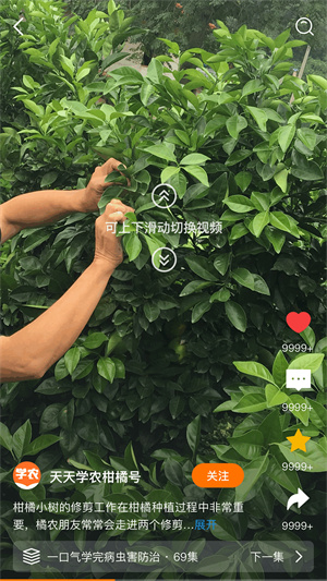 天天学农app