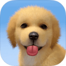 梦幻小狗官网版下载