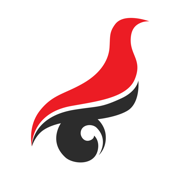 学信网app正版下载