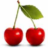 樱桃直播福利版