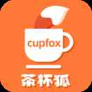 茶杯狐 CUPFOX