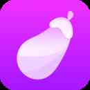 茄子视频最新版